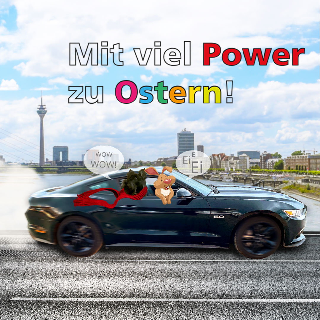 Ostergruß 2025